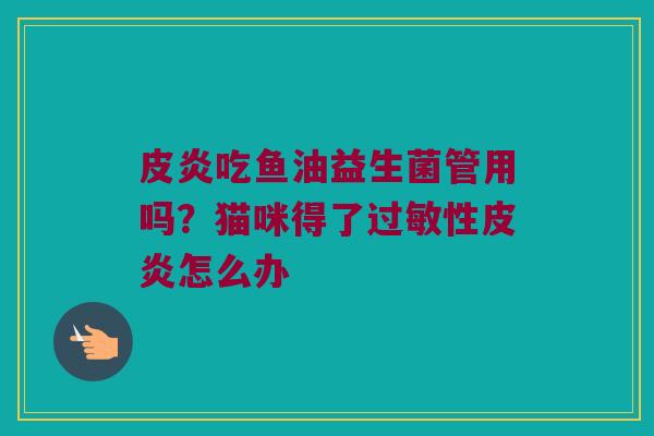 皮炎吃鱼油益生菌管用吗？猫咪得了过敏性皮炎怎么办