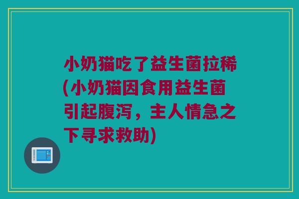 小奶猫吃了益生菌拉稀(小奶猫因食用益生菌引起腹泻，主人情急之下寻求救助)