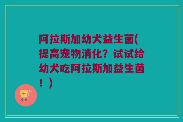 阿拉斯加幼犬益生菌(提高宠物消化?试试给幼犬吃阿拉斯加益生菌!) 阿拉斯加幼犬益生菌(提高宠物消化?试试给幼犬吃阿拉斯加益生菌!)