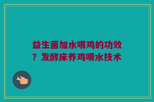 益生菌加水喂鸡的功效？发酵床养鸡喂水技术