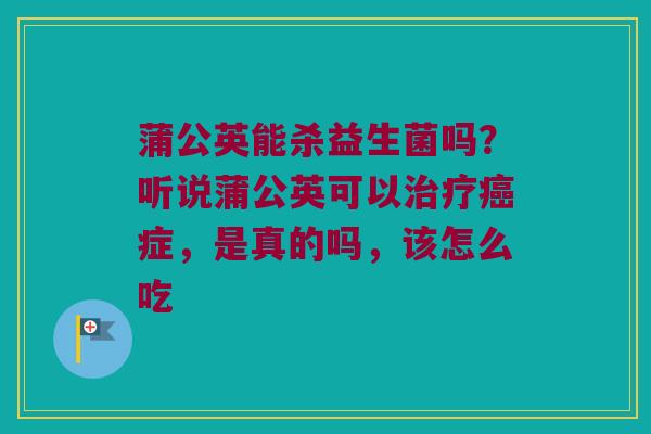 蒲公英能杀益生菌吗?听说蒲公英可以症,是真的吗,该怎么吃 蒲公英能杀益生菌吗?听说蒲公英可以症,是真的吗,该怎么吃
