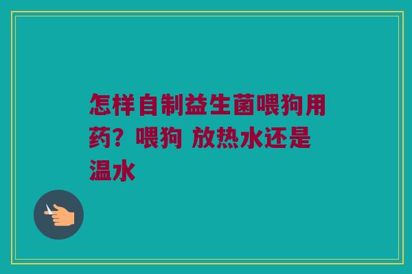 怎样自制益生菌喂狗用药？喂狗 放热水还是温水