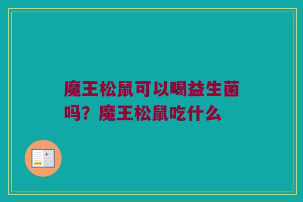 魔王松鼠可以喝益生菌吗？魔王松鼠吃什么