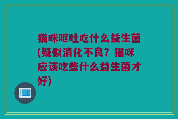 猫咪吃什么益生菌(疑似?猫咪应该吃些什么益生菌才好) 猫咪吃什么益生菌(疑似?猫咪应该吃些什么益生菌才好)