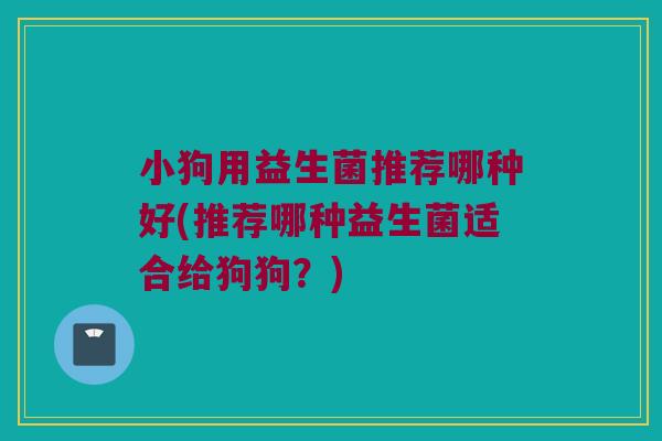 小狗用益生菌推荐哪种好(推荐哪种益生菌适合给狗狗？)
