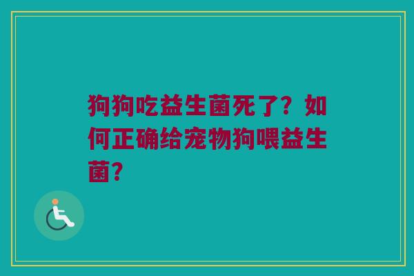 狗狗吃益生菌死了？如何正确给宠物狗喂益生菌？