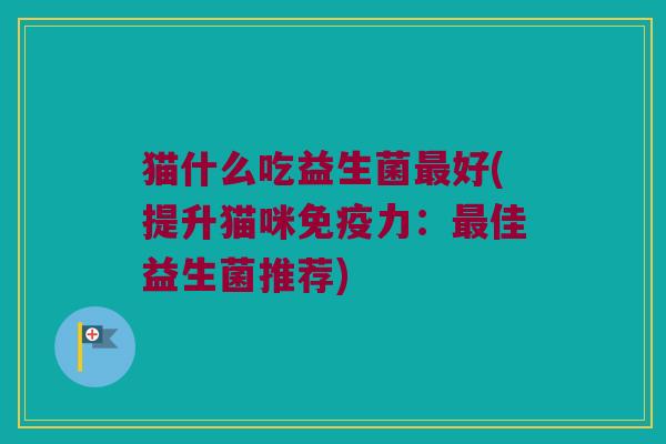 猫什么吃益生菌好(提升猫咪力:佳益生菌推荐) 猫什么吃益生菌好(提升猫咪力:佳益生菌推荐)