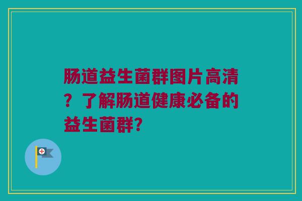 肠道益生菌群图片高清？了解肠道健康必备的益生菌群？
