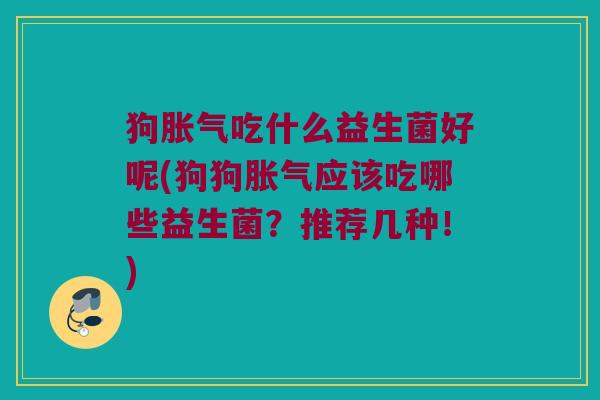 狗吃什么益生菌好呢(狗狗应该吃哪些益生菌?推荐几种!) 狗吃什么益生菌好呢(狗狗应该吃哪些益生菌?推荐几种!)