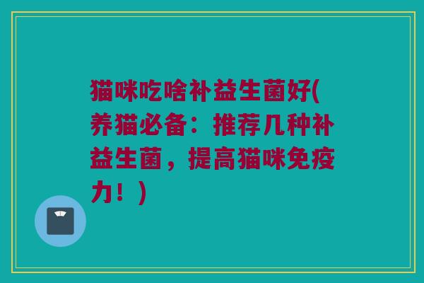 猫咪吃啥补益生菌好(养猫必备:推荐几种补益生菌,提高猫咪力!) 猫咪吃啥补益生菌好(养猫必备:推荐几种补益生菌,提高猫咪力!)