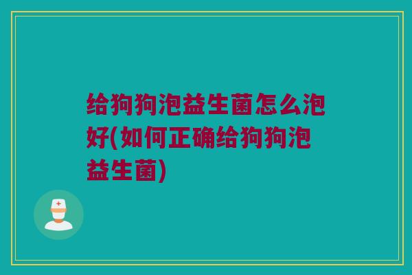 给狗狗泡益生菌怎么泡好(如何正确给狗狗泡益生菌)