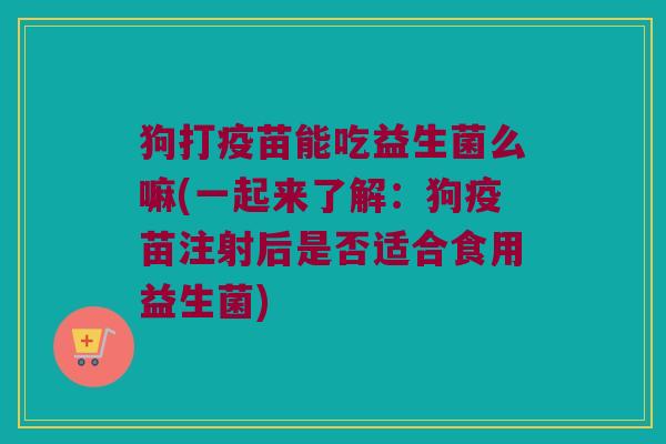 狗打疫苗能吃益生菌么嘛(一起来了解:狗疫苗注射后是否适合食用益生菌) 狗打疫苗能吃益生菌么嘛(一起来了解:狗疫苗注射后是否适合食用益生菌)