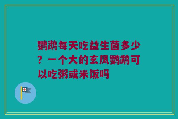鹦鹉每天吃益生菌多少?一个大的玄凤鹦鹉可以吃粥或米饭吗 鹦鹉每天吃益生菌多少?一个大的玄凤鹦鹉可以吃粥或米饭吗