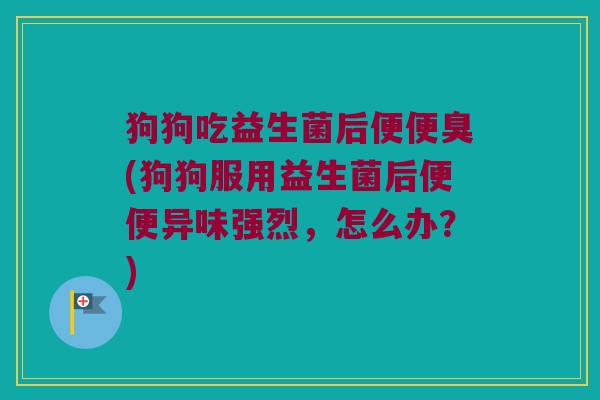 狗狗吃益生菌后便便臭(狗狗服用益生菌后便便异味强烈,怎么办?) 狗狗吃益生菌后便便臭(狗狗服用益生菌后便便异味强烈,怎么办?)