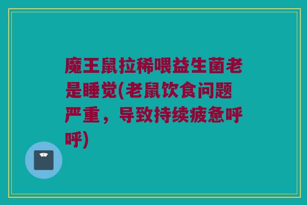 魔王鼠拉稀喂益生菌老是睡觉(老鼠饮食问题严重,导致持续疲惫呼呼) 魔王鼠拉稀喂益生菌老是睡觉(老鼠饮食问题严重,导致持续疲惫呼呼)