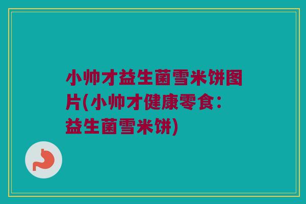小帅才益生菌雪米饼图片(小帅才健康零食:益生菌雪米饼) 小帅才益生菌雪米饼图片(小帅才健康零食:益生菌雪米饼)