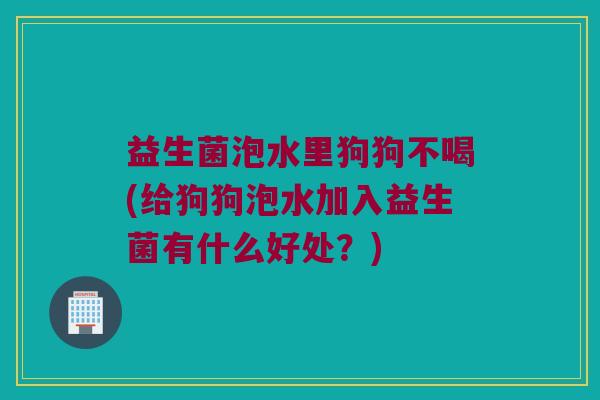 益生菌泡水里狗狗不喝(给狗狗泡水加入益生菌有什么好处?) 益生菌泡水里狗狗不喝(给狗狗泡水加入益生菌有什么好处?)
