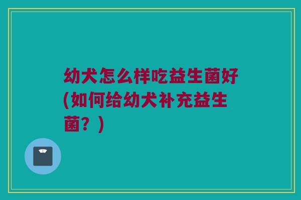 幼犬怎么样吃益生菌好(如何给幼犬补充益生菌？)