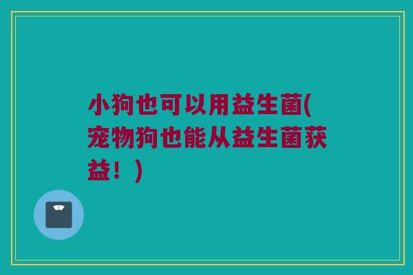 小狗也可以用益生菌(宠物狗也能从益生菌获益!) 小狗也可以用益生菌(宠物狗也能从益生菌获益!)