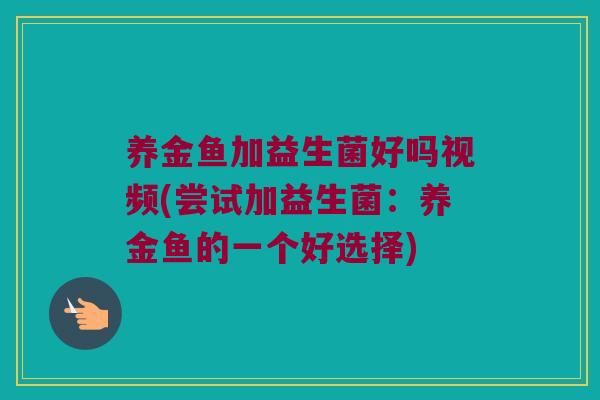 养金鱼加益生菌好吗视频(尝试加益生菌：养金鱼的一个好选择)