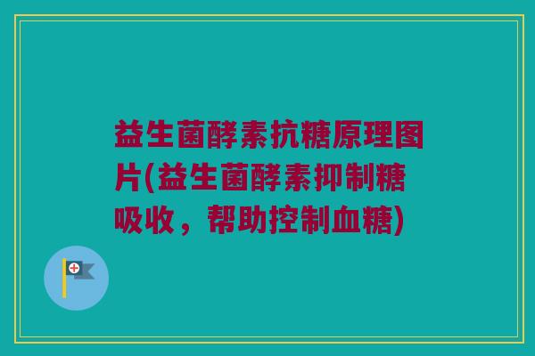 益生菌酵素抗糖原理图片(益生菌酵素抑制糖吸收，帮助控制血糖)