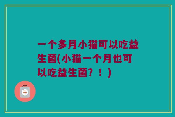 一个多月小猫可以吃益生菌(小猫一个月也可以吃益生菌?!) 一个多月小猫可以吃益生菌(小猫一个月也可以吃益生菌?!)