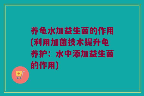 养龟水加益生菌的作用(利用加菌技术提升龟养护:水中添加益生菌的作用) 养龟水加益生菌的作用(利用加菌技术提升龟养护:水中添加益生菌的作用)