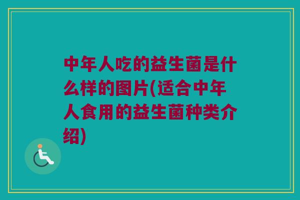 中年人吃的益生菌是什么样的图片(适合中年人食用的益生菌种类介绍) 中年人吃的益生菌是什么样的图片(适合中年人食用的益生菌种类介绍)
