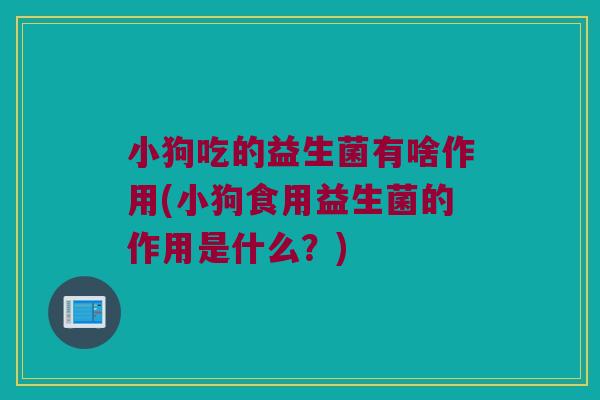 小狗吃的益生菌有啥作用(小狗食用益生菌的作用是什么?) 小狗吃的益生菌有啥作用(小狗食用益生菌的作用是什么?)