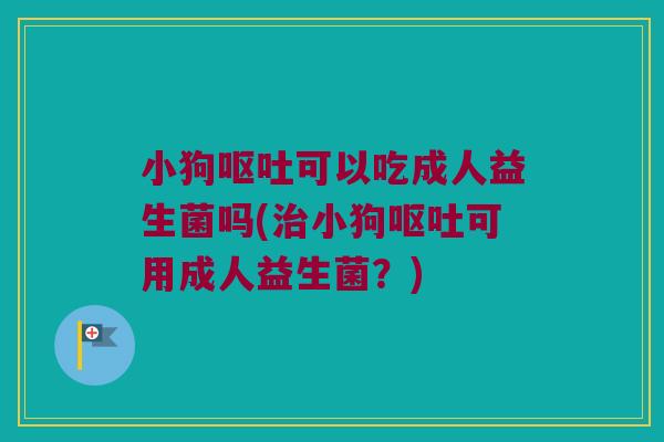 小狗可以吃成人益生菌吗(小狗可用成人益生菌?) 小狗可以吃成人益生菌吗(小狗可用成人益生菌?)
