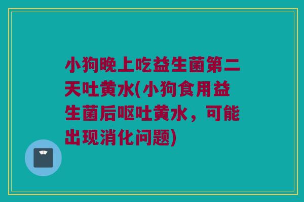 小狗晚上吃益生菌第二天吐黄水(小狗食用益生菌后呕吐黄水，可能出现消化问题)