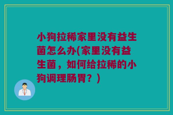 小狗拉稀家里没有益生菌怎么办(家里没有益生菌,如何给拉稀的小狗调理肠胃?) 小狗拉稀家里没有益生菌怎么办(家里没有益生菌,如何给拉稀的小狗调理肠胃?)