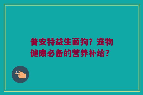 普安特益生菌狗?宠物健康必备的营养补给? 普安特益生菌狗?宠物健康必备的营养补给?