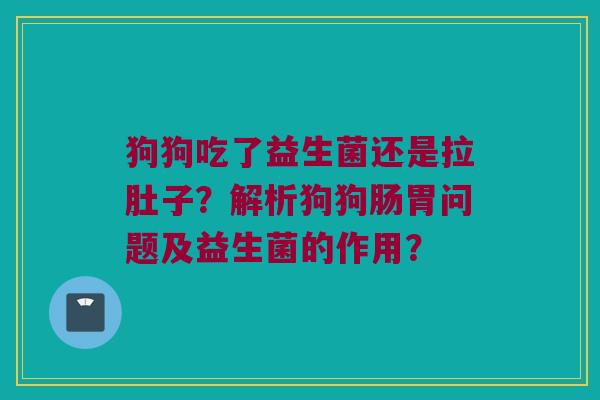狗狗吃了益生菌还是拉肚子？解析狗狗肠胃问题及益生菌的作用？