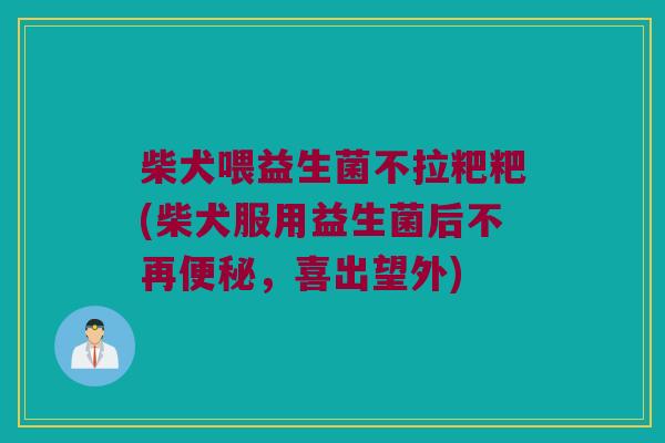 柴犬喂益生菌不拉粑粑(柴犬服用益生菌后不再,喜出望外) 柴犬喂益生菌不拉粑粑(柴犬服用益生菌后不再,喜出望外)