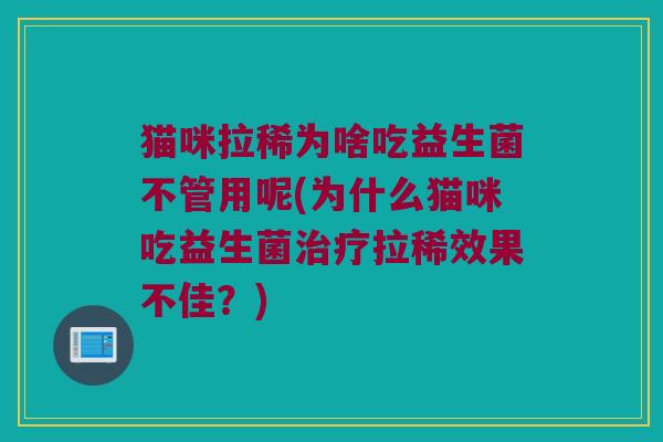 猫咪拉稀为啥吃益生菌不管用呢(为什么猫咪吃益生菌治疗拉稀效果不佳？)