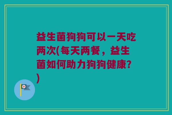 益生菌狗狗可以一天吃两次(每天两餐,益生菌如何助力狗狗健康?) 益生菌狗狗可以一天吃两次(每天两餐,益生菌如何助力狗狗健康?)