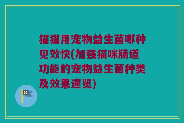 猫猫用宠物益生菌哪种见效快(加强猫咪肠道功能的宠物益生菌种类及效果速览) 猫猫用宠物益生菌哪种见效快(加强猫咪肠道功能的宠物益生菌种类及效果速览)