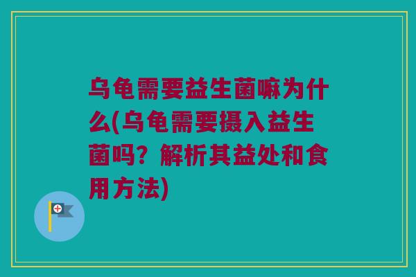 乌龟需要益生菌嘛为什么(乌龟需要摄入益生菌吗?解析其益处和食用方法) 乌龟需要益生菌嘛为什么(乌龟需要摄入益生菌吗?解析其益处和食用方法)