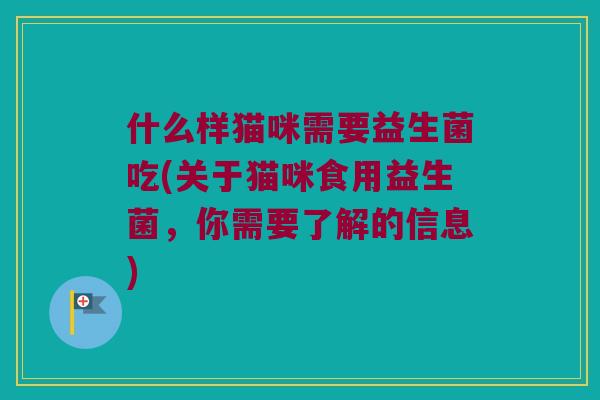 什么样猫咪需要益生菌吃(关于猫咪食用益生菌，你需要了解的信息)