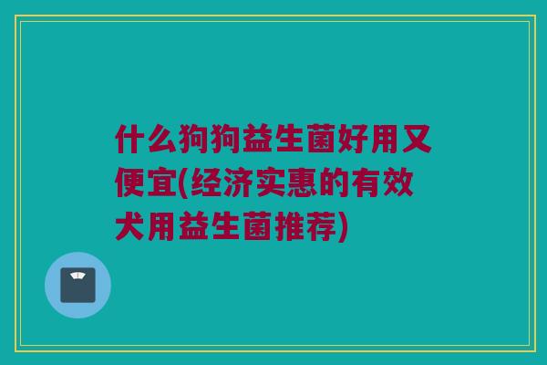 什么狗狗益生菌好用又便宜(经济实惠的有效犬用益生菌推荐)