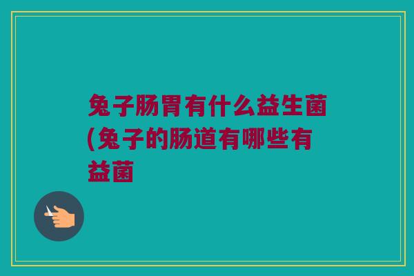 兔子肠胃有什么益生菌(兔子的肠道有哪些有益菌 兔子肠胃有什么益生菌(兔子的肠道有哪些有益菌