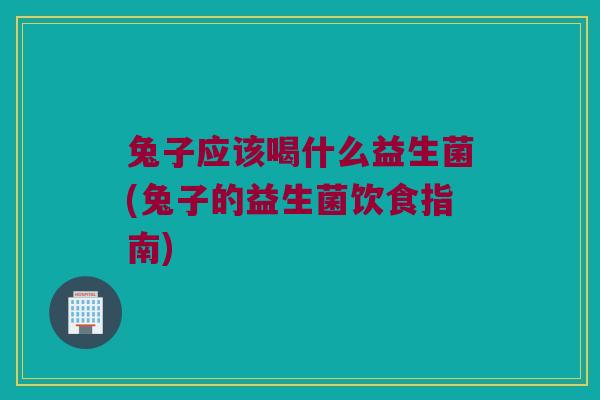 兔子应该喝什么益生菌(兔子的益生菌饮食指南)