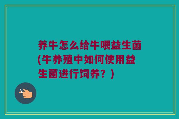 养牛怎么给牛喂益生菌(牛养殖中如何使用益生菌进行饲养?) 养牛怎么给牛喂益生菌(牛养殖中如何使用益生菌进行饲养?)