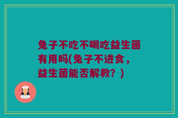 兔子不吃不喝吃益生菌有用吗(兔子不进食,益生菌能否解救?) 兔子不吃不喝吃益生菌有用吗(兔子不进食,益生菌能否解救?)