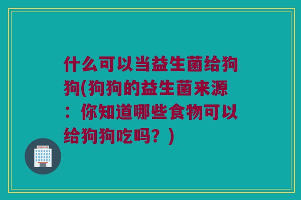 什么可以当益生菌给狗狗(狗狗的益生菌来源:你知道哪些食物可以给狗狗吃吗?) 什么可以当益生菌给狗狗(狗狗的益生菌来源:你知道哪些食物可以给狗狗吃吗?)