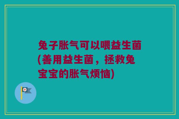 兔子可以喂益生菌(善用益生菌,拯救兔宝宝的烦恼) 兔子可以喂益生菌(善用益生菌,拯救兔宝宝的烦恼)