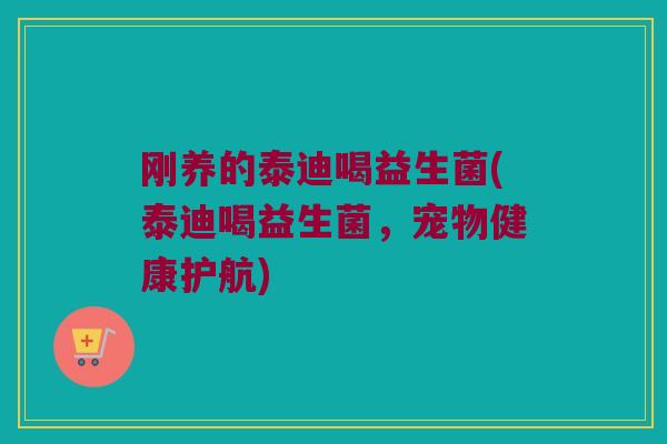 刚养的泰迪喝益生菌(泰迪喝益生菌，宠物健康护航)