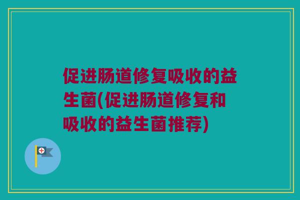 促进肠道修复吸收的益生菌(促进肠道修复和吸收的益生菌推荐)