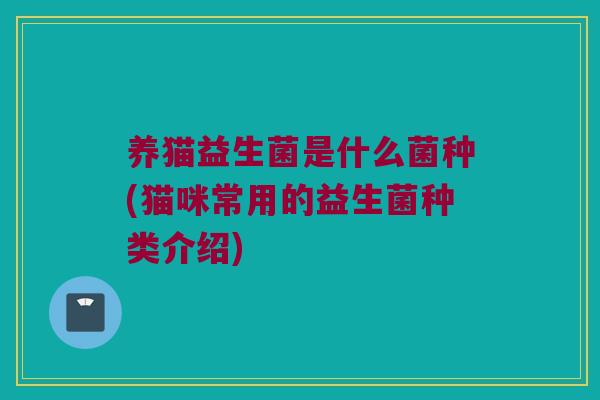 养猫益生菌是什么菌种(猫咪常用的益生菌种类介绍)